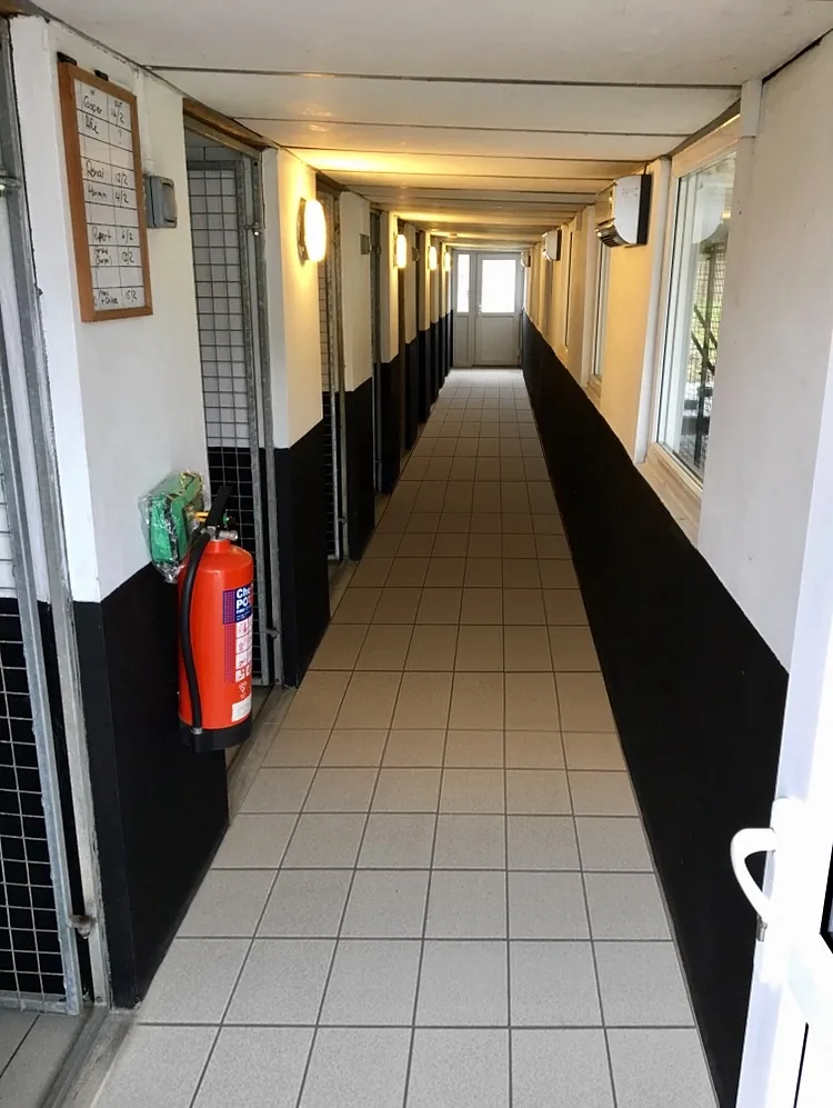 Block of Rooms for Large Dogs