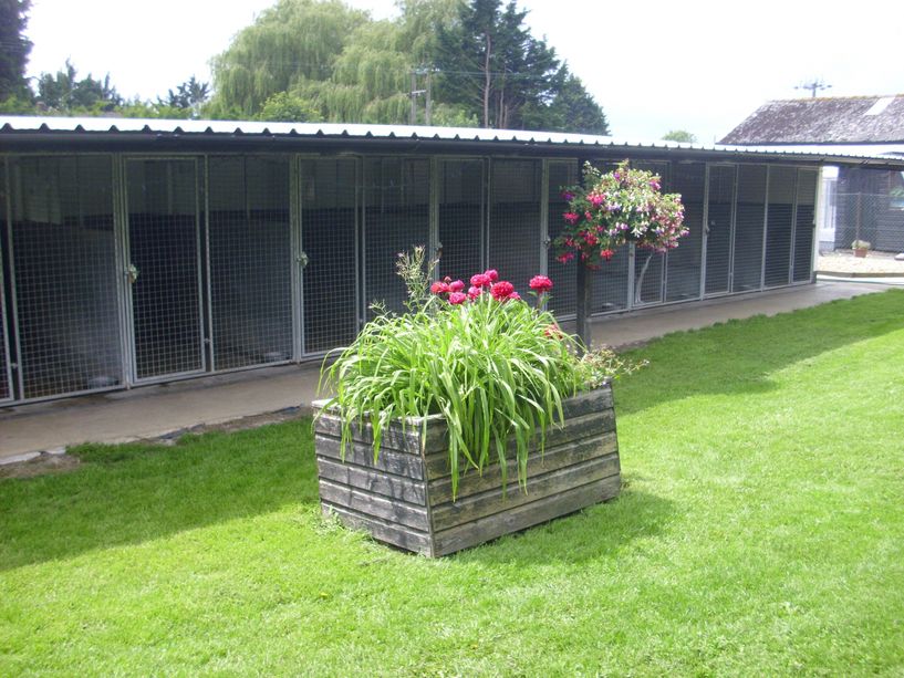 Church Farm Boarding Kennels