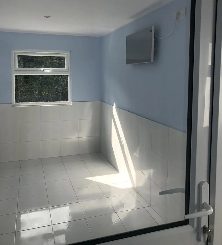 Indoor Room Interior for Small Dogs
